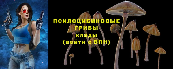 экстази Бородино
