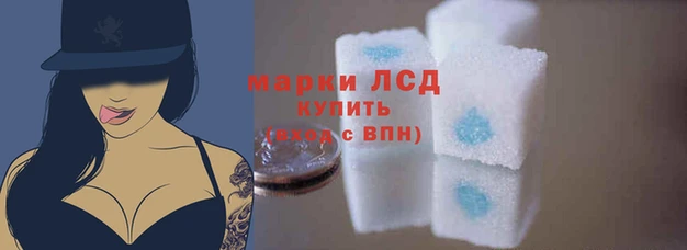 ешки Волосово