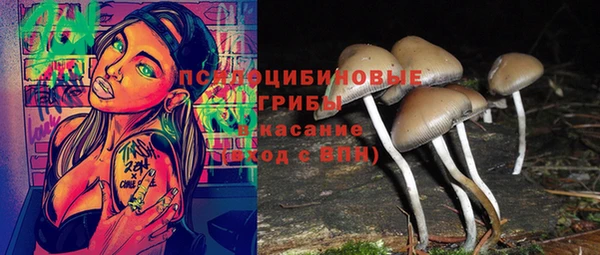 PSILOCYBIN Бронницы