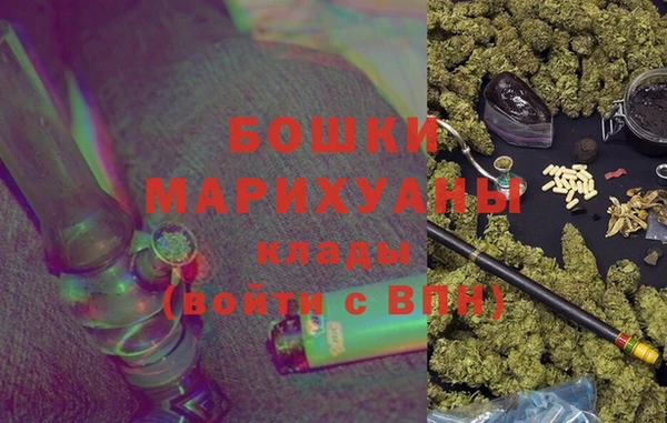 прущие грибы Вязьма
