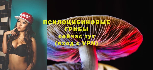спиды Володарск